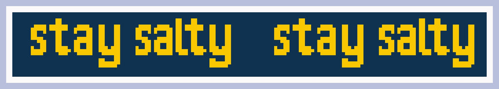 Stay Salty Fundraiser Chart