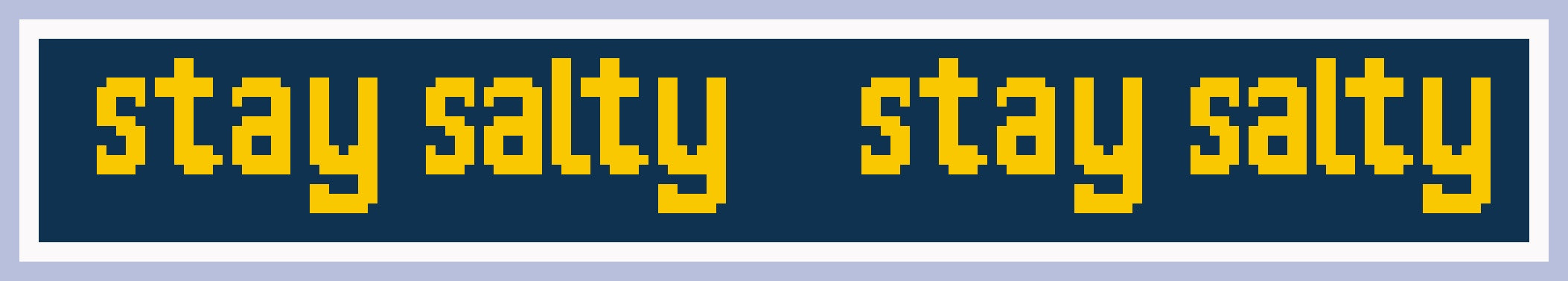 Stay Salty Fundraiser Chart