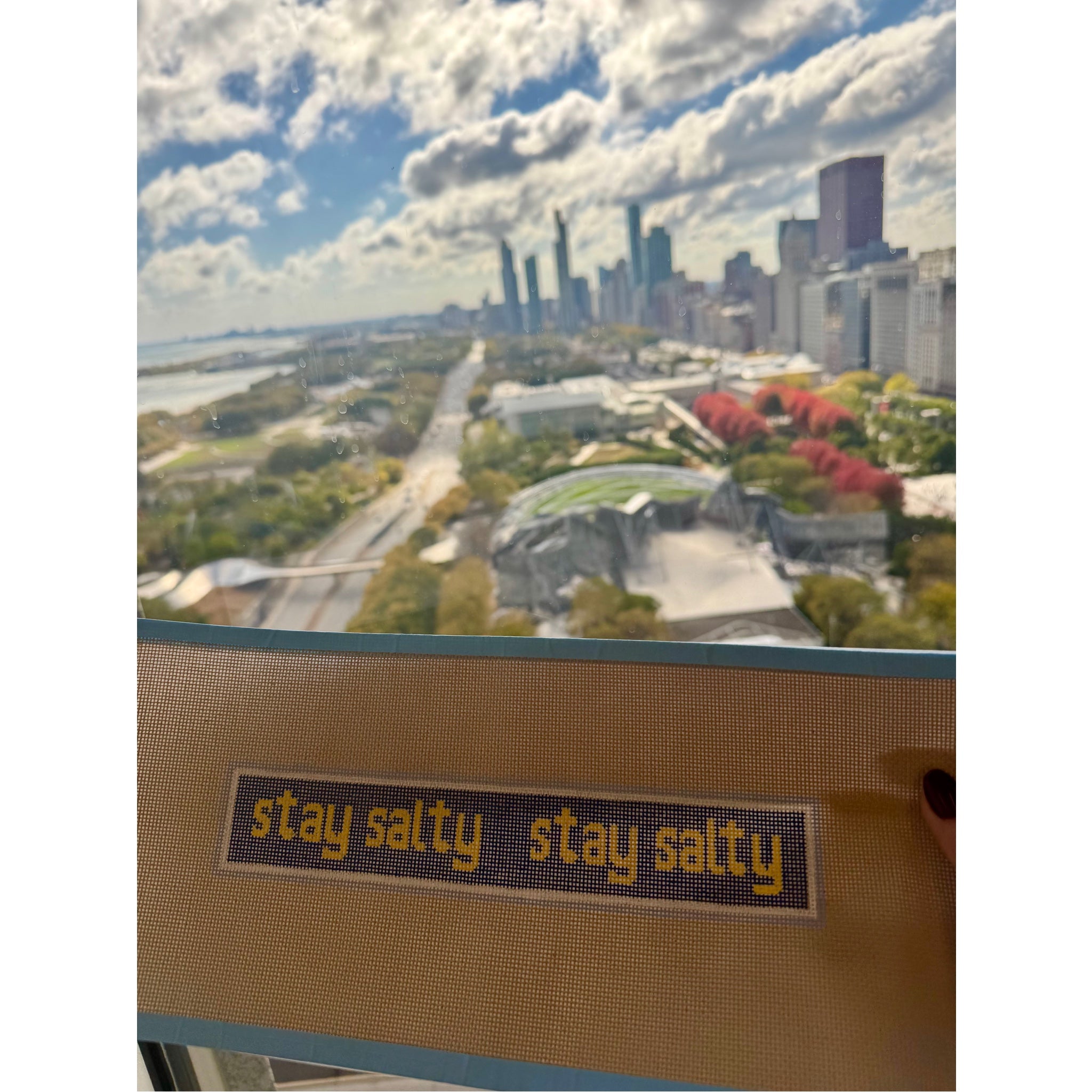 Stay Salty Fundraiser Canvas